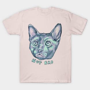 Not Bad Cat T-Shirt